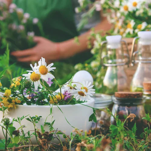Health & Wellness