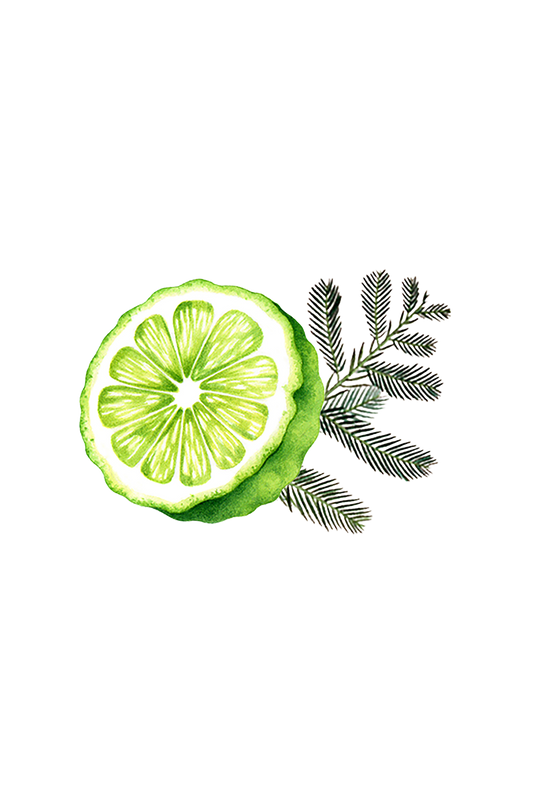 Bergamot & Cypress Essential Oil Blend