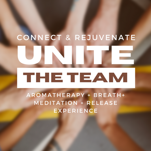 Team Building Off Site Rejuvenation Experiences