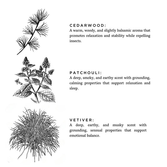 Embers + Leather - Vetiver + Cedar + Patchouli
