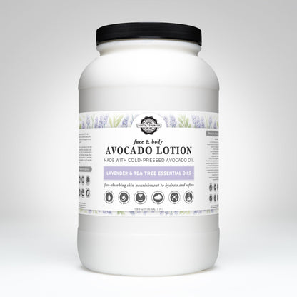Avocado Lotion | Lavender & Tea Tree