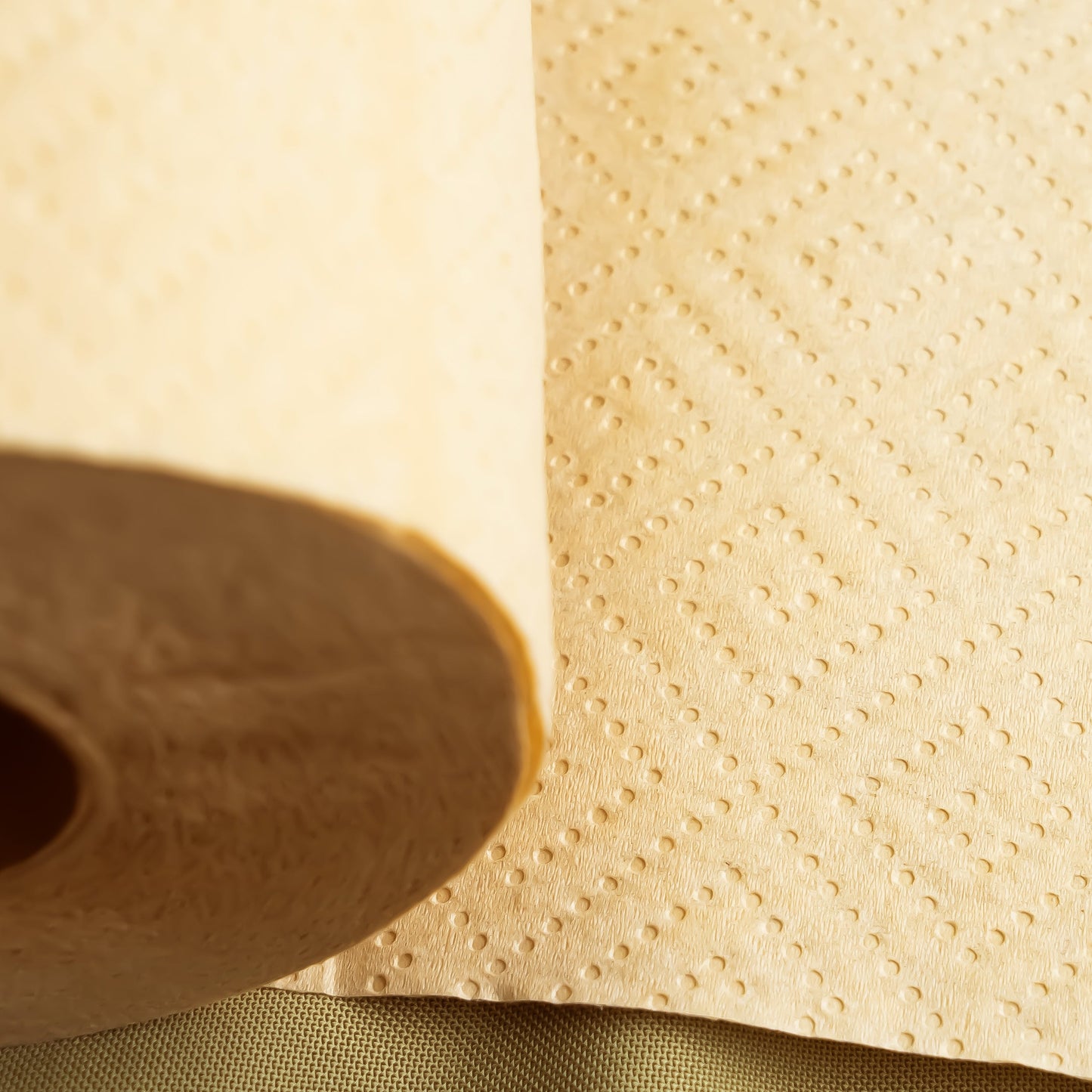 Panda Eco Paper | Bamboo Paper Towels Sample