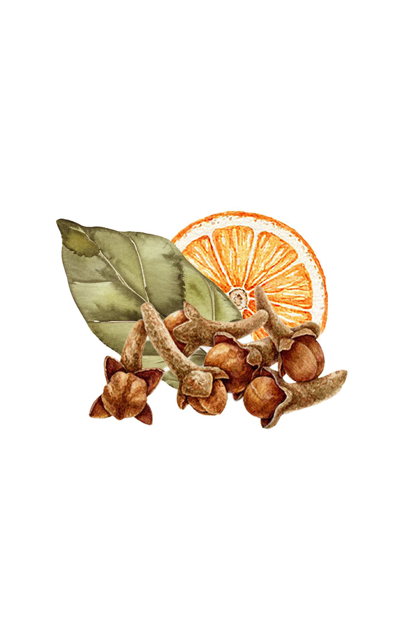 Bay Spice Essential Oil Blend