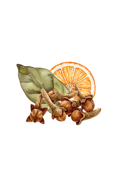 Bay Spice Essential Oil Blend