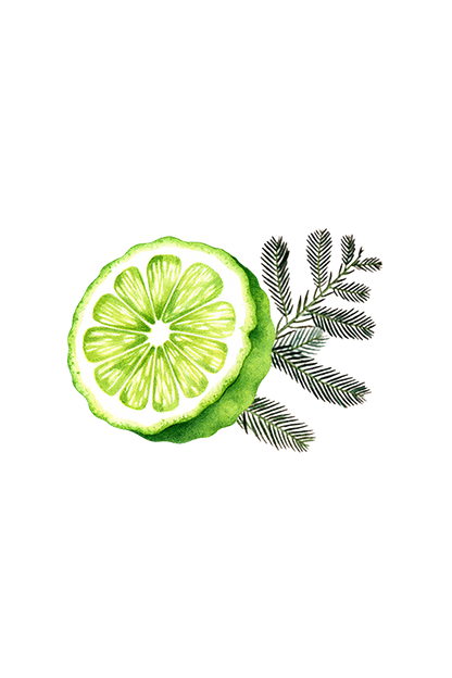 Bergamot & Cypress Essential Oil Blend