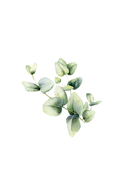 Room Spray | Eucalyptus