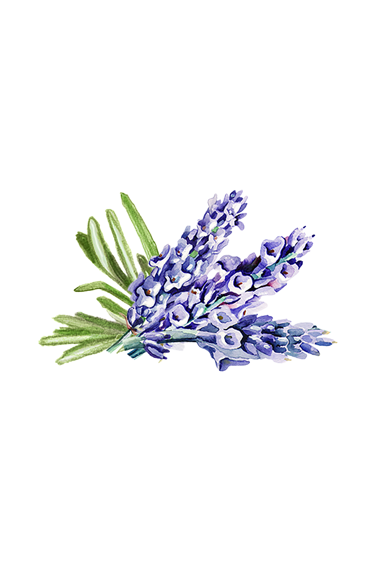 Lavender & Rosemary Essential Oil Blend