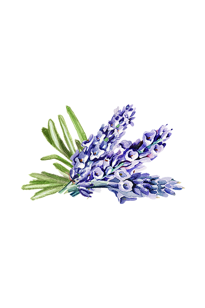 Hand Soap | Soothing Herbs