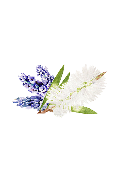 Coconut Conditioner | Lavender Tea Tree