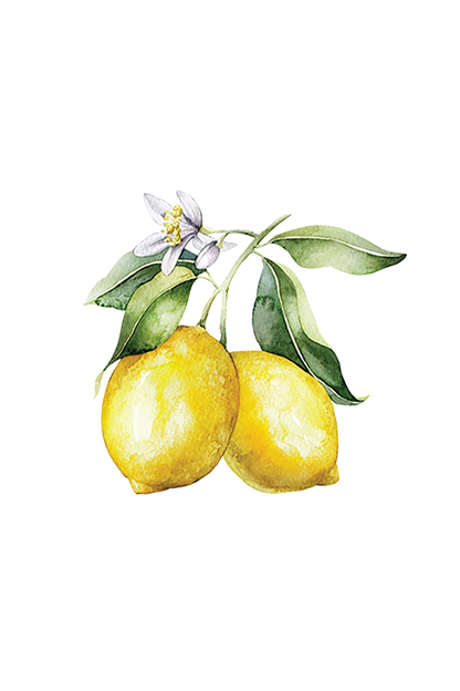 Lemon Essential Oil