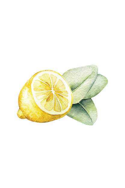 Lemon & Eucalyptus Essential Oil Blend