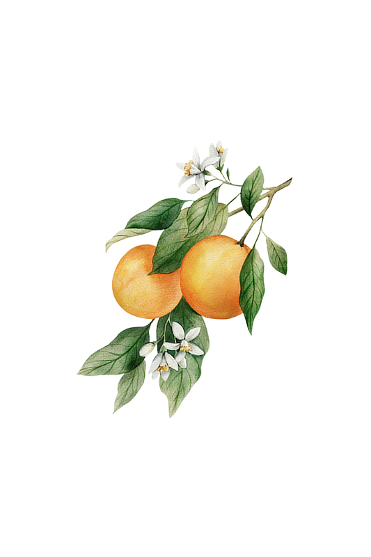 Orange Essential Oil