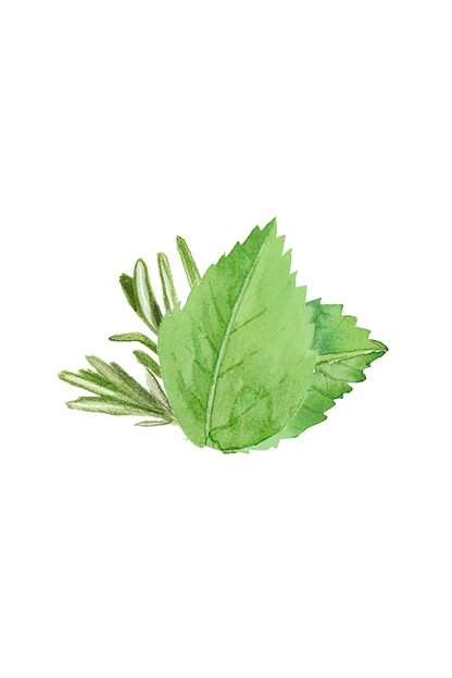 Rosemary & Mint Essential Oil Blend